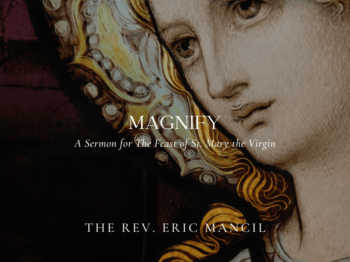 Magnify