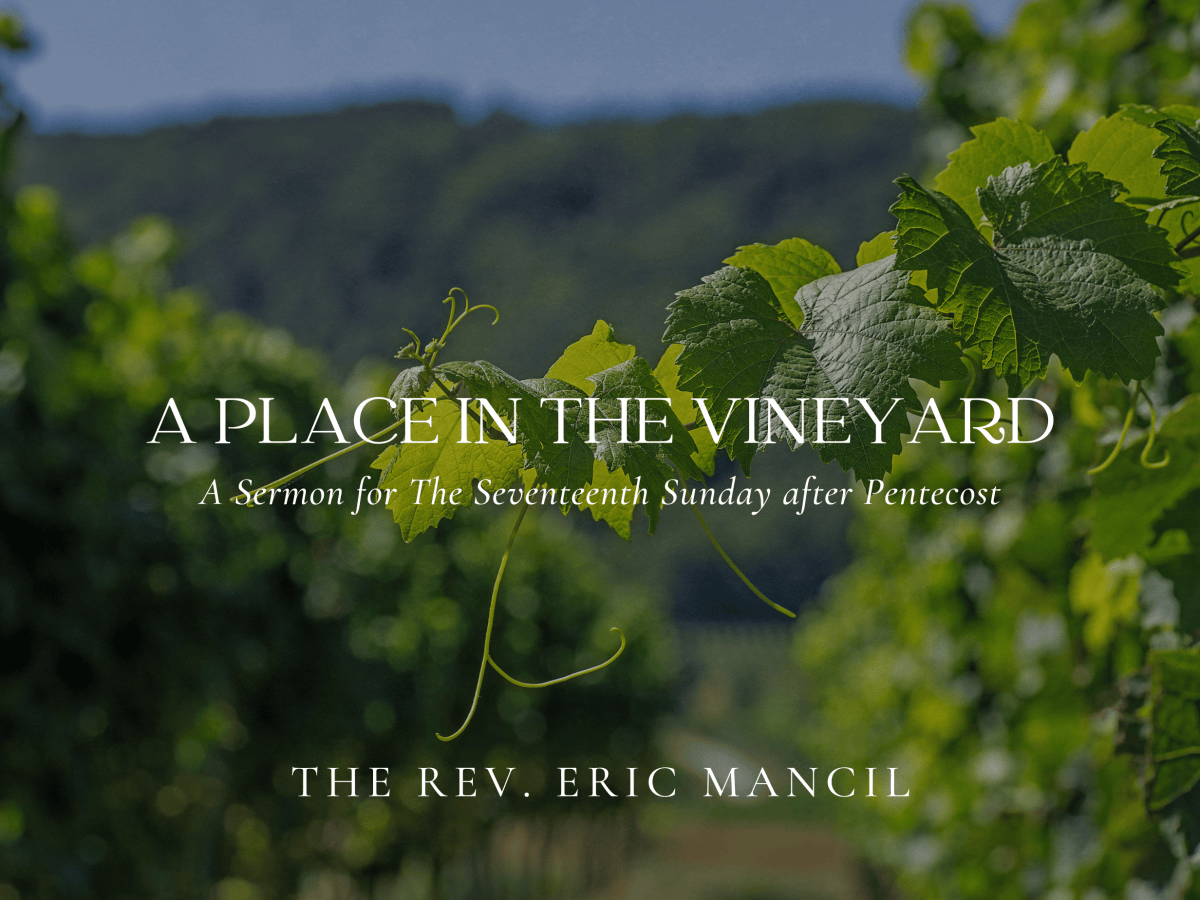A Place In the&nbsp;Vineyard